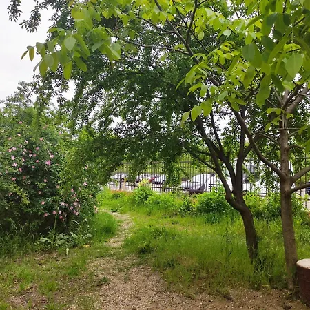 Gradina Din Gura Siriului Campingplatz *