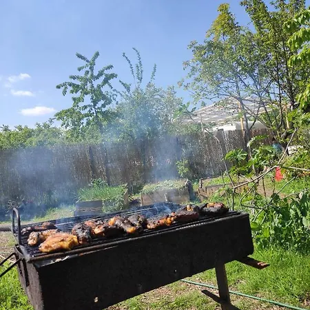 Gradina Din Gura Siriului * Bucarest